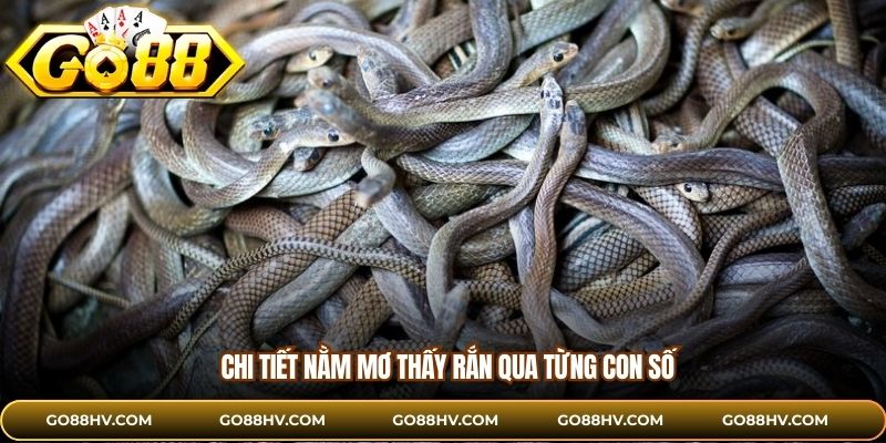 Chi tiết nằm mơ thấy rắn qua từng con số